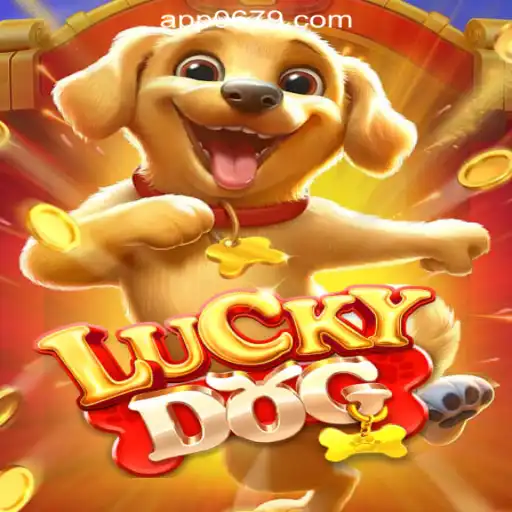 0697.COM Oficial Slots Brasil #1 Roulette